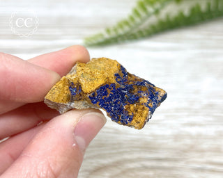 Azurite Specimen #4