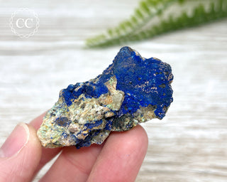 Azurite Specimen #5