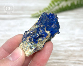 Azurite Specimen #5