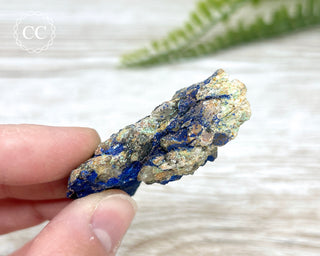 Azurite Specimen #5