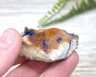 Azurite Specimen #4