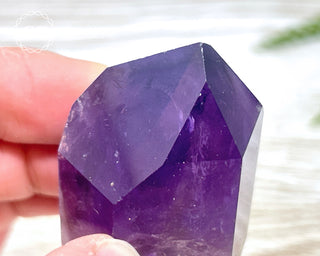 Bahia Amethyst Tower #6