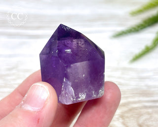 Bahia Amethyst Tower #7