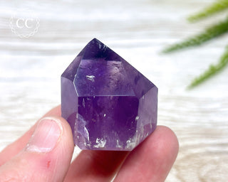 Bahia Amethyst Tower #7