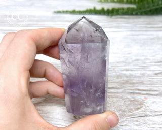 Bahia Amethyst Tower #2