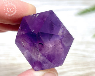 Bahia Amethyst Tower #7