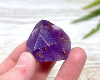 Bahia Amethyst Tower #8