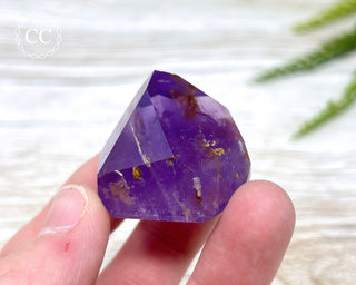 Bahia Amethyst Tower #8