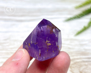 Bahia Amethyst Tower #8