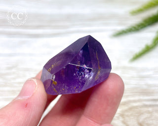 Bahia Amethyst Tower #8