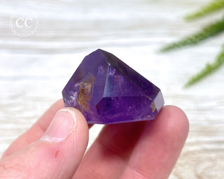 Bahia Amethyst Tower #8