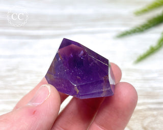 Bahia Amethyst Tower #8