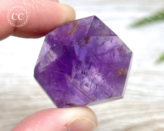 Bahia Amethyst Tower #8