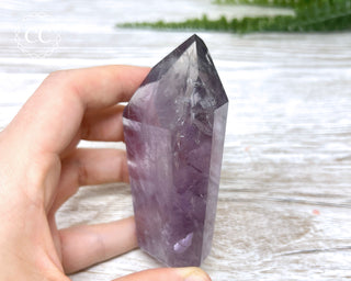 Bahia Amethyst Tower #2