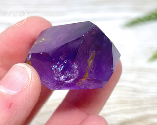 Bahia Amethyst Tower #8