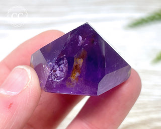 Bahia Amethyst Tower #8