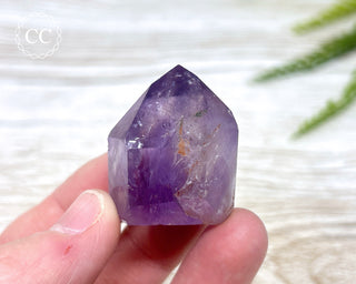 Bahia Amethyst Tower #9