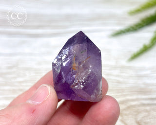 Bahia Amethyst Tower #9