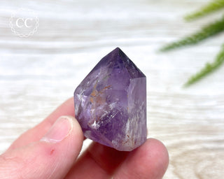 Bahia Amethyst Tower #9