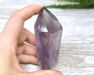 Bahia Amethyst Tower #2