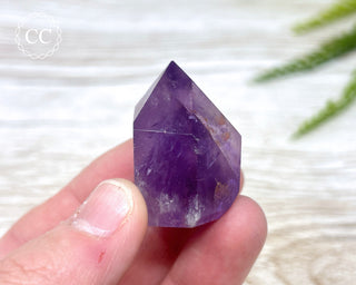 Bahia Amethyst Tower #9