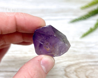 Bahia Amethyst Tower #9