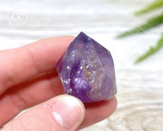 Bahia Amethyst Tower #9