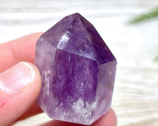 Bahia Amethyst Tower #9