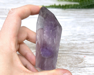 Bahia Amethyst Tower #2