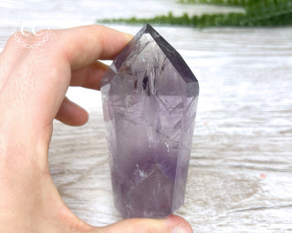 Bahia Amethyst Tower #2