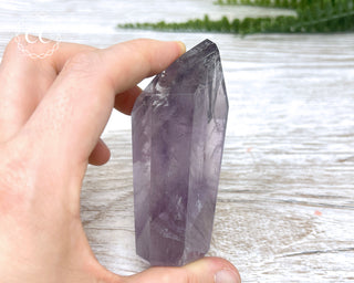 Bahia Amethyst Tower #2