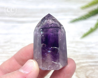 Bahia Amethyst Tower #11