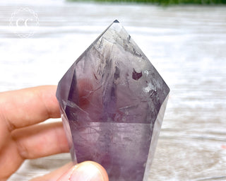 Bahia Amethyst Tower #2