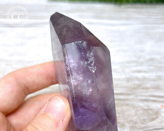 Bahia Amethyst Tower #2
