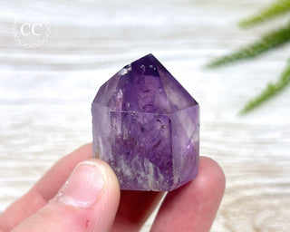 Bahia Amethyst Tower #13