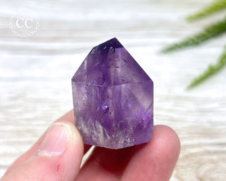 Bahia Amethyst Tower #13