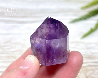 Bahia Amethyst Tower #13