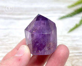 Bahia Amethyst Tower #13