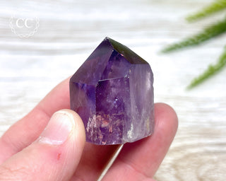 Bahia Amethyst Tower #13