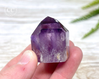 Bahia Amethyst Tower #13