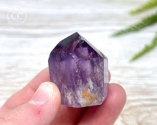 Bahia Amethyst Tower #13