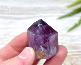 Bahia Amethyst Tower #13