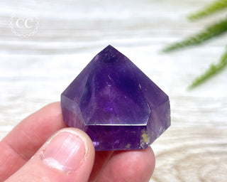Bahia Amethyst Tower #14
