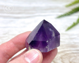 Bahia Amethyst Tower #14