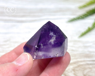 Bahia Amethyst Tower #14