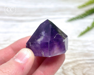 Bahia Amethyst Tower #14