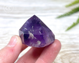 Bahia Amethyst Tower #14