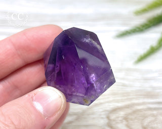 Bahia Amethyst Tower #14