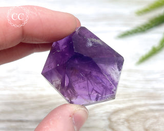 Bahia Amethyst Tower #14