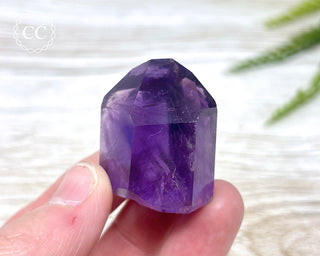 Bahia Amethyst Tower #15